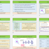 Lesson Slide Thumbnails