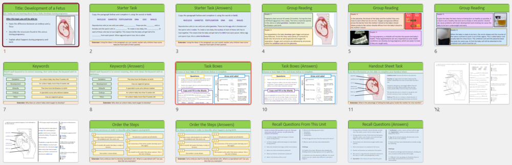 Lesson Slide Thumbnails
