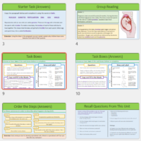 Lesson Slide Thumbnails