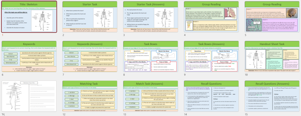 Lesson Slide thumbnails