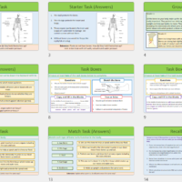 Lesson Slide thumbnails