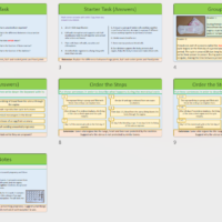 Lesson slide thumbnails