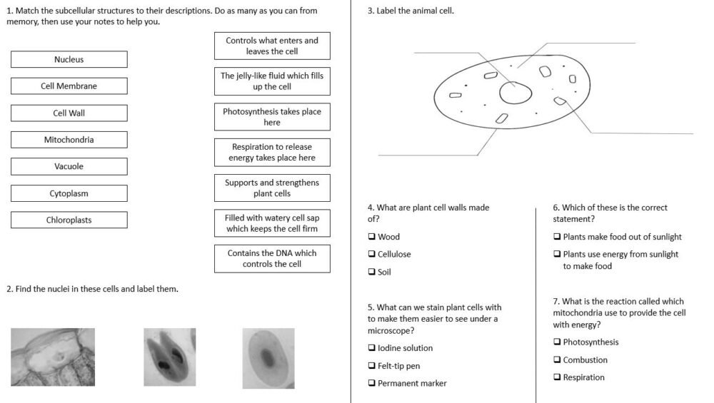 Lesson worksheet Lesson worksheet