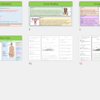 GCSE Biology Topic 5: Menstrual Cycle Menstrual Cycle Lesson slide thumbnails