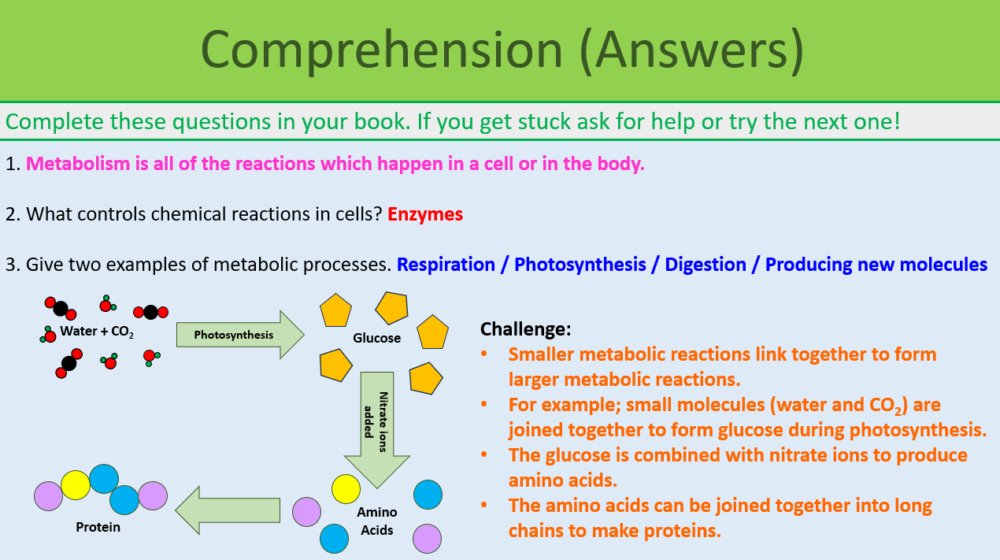 GCSE Biology Topic 4: Metabolism Comprehension Task