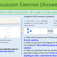 GCSE Biology Topic 3: Monoclonal Antibodies Discussion Exercise