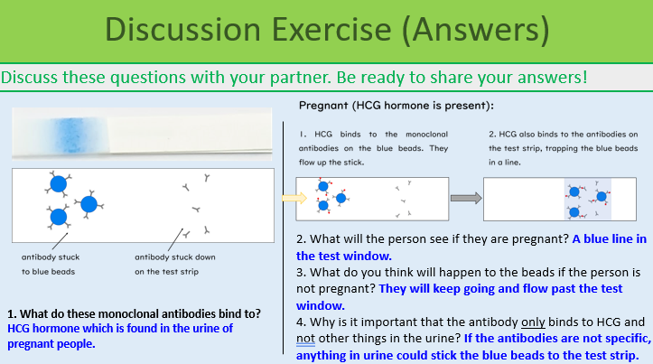 GCSE Biology Topic 3: Monoclonal Antibodies Discussion Exercise