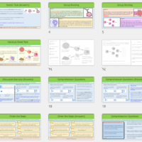 GCSE Biology Topic 3: Monoclonal Antibodies lesson slide thumbnails