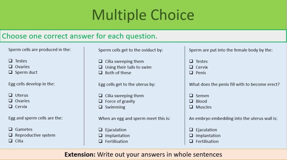 Multiple Choice Task