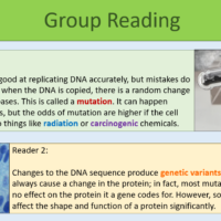 Mutations Group Reading Task
