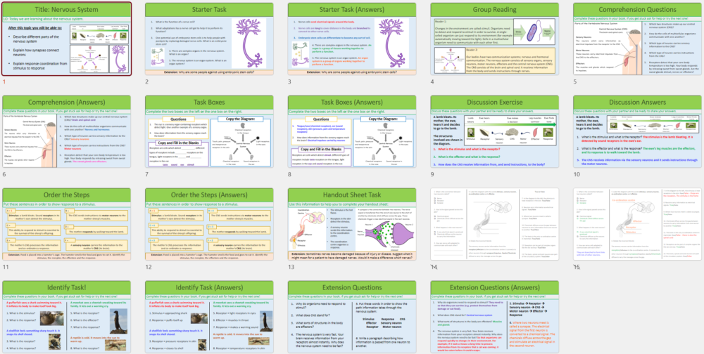 GCSE Biology Topic 5: Nervous System Lesson Slide Thumbnails