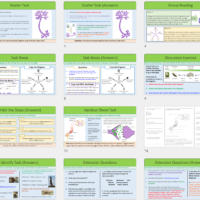 GCSE Biology Topic 5: Nervous System Lesson Slide Thumbnails