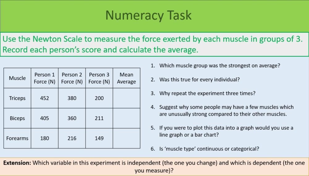 Numeracy Task Analysis