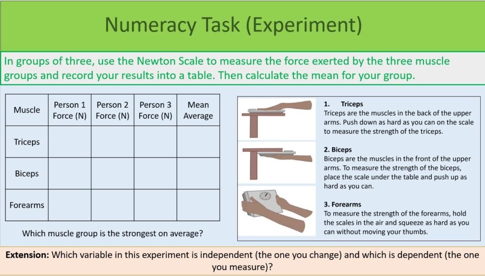 Numeracy Task Experiment