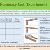 Numeracy Task Experiment
