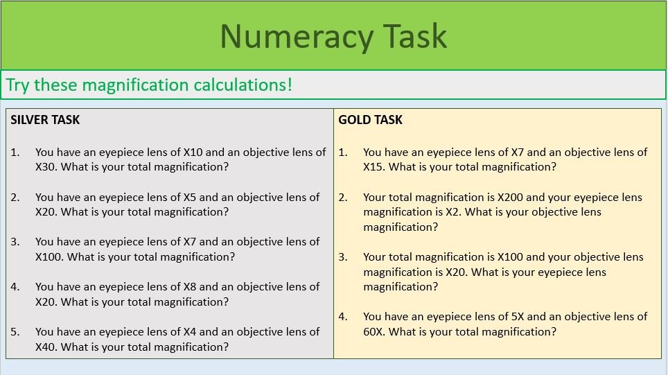 Numeracy task