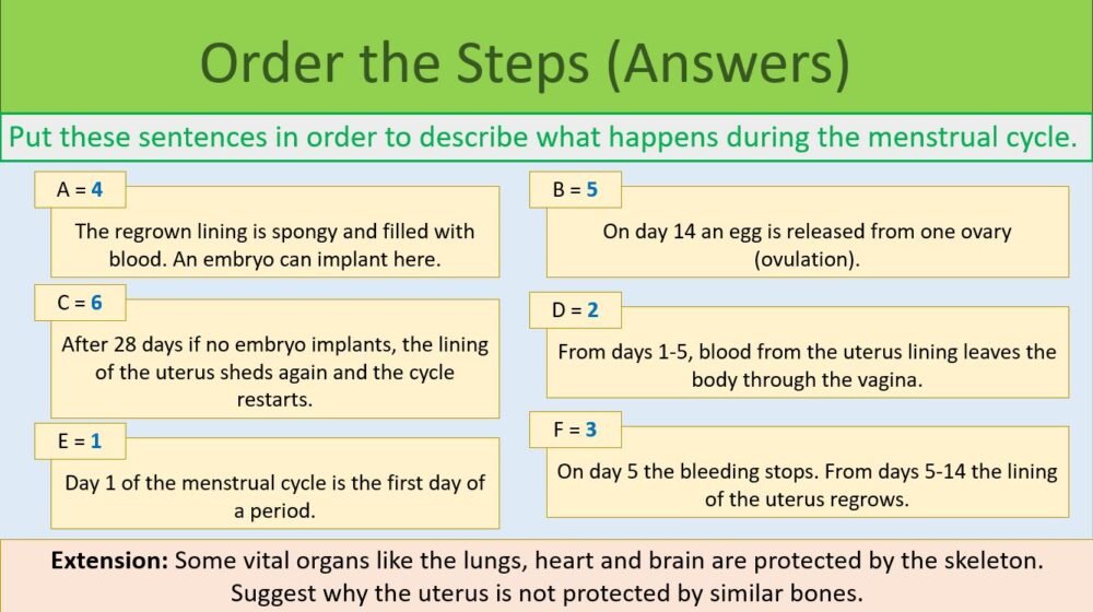 Order the steps Task