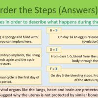 Order the steps Task