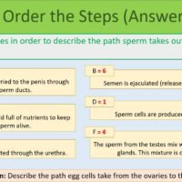 Order the steps task Order the steps task