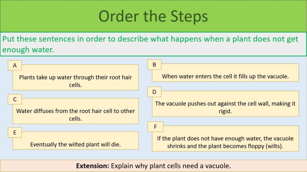 Order the steps activity