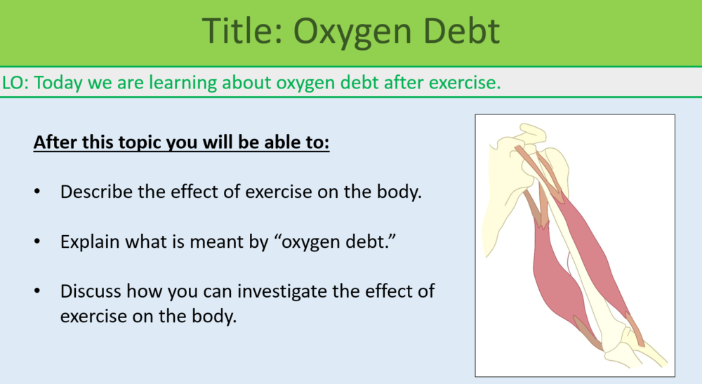 GCSE Biology Topic 4: Oxygen Debt Learning Objectives