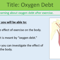 GCSE Biology Topic 4: Oxygen Debt Learning Objectives