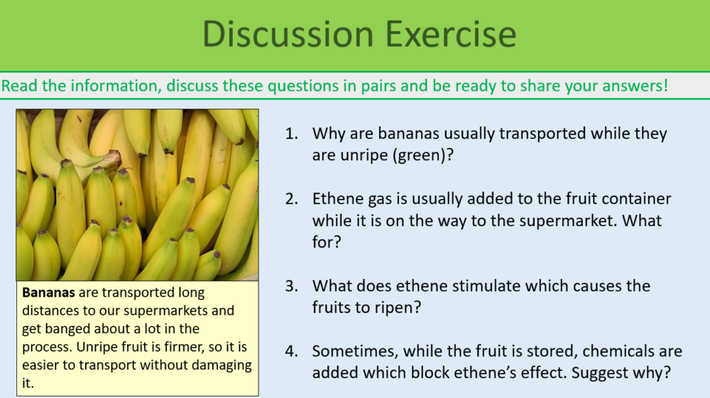 Plant Hormones Discussion Exercise