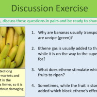 Plant Hormones Discussion Exercise