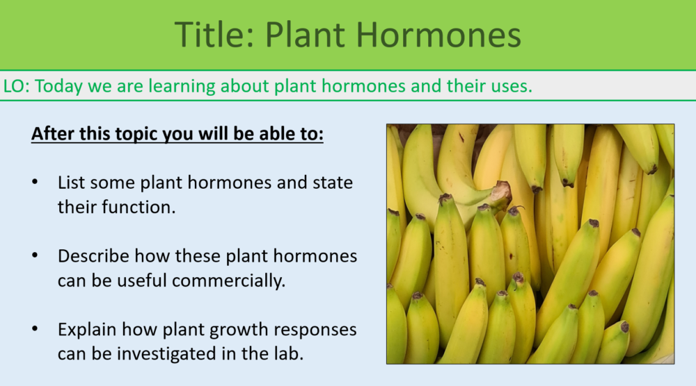 GCSE Biology Topic 5: Plant Hormones Discussion Exercise