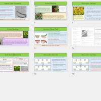 GCSE Biology Topic 5: Plant Hormones Discussion Exercise