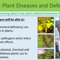 GCSE Biology Topic 3: Plant Disease and Defences Learning Objectives