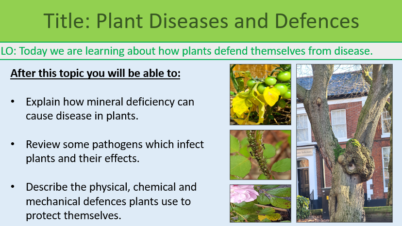 GCSE Biology Topic 3: Plant Disease and Defences Learning Objectives