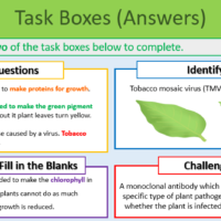 Plant diseases and defences Task Boxes