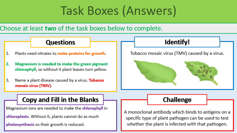 Plant diseases and defences Task Boxes