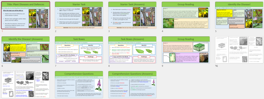 GCSE Biology Topic 3: Plant Disease and Defences lesson slide thumbnails
