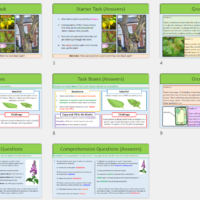 GCSE Biology Topic 3: Plant Disease and Defences lesson slide thumbnails