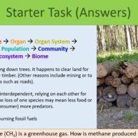 Protecting Ecosystems Starter Task Protecting Ecosystems Starter Task