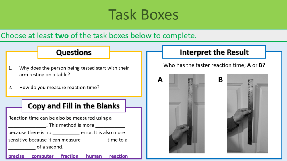 GCSE Biology Topic 5: Reaction Times Practical Task Boxes