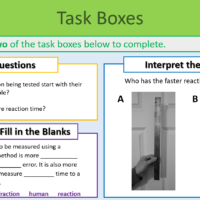 GCSE Biology Topic 5: Reaction Times Practical Task Boxes