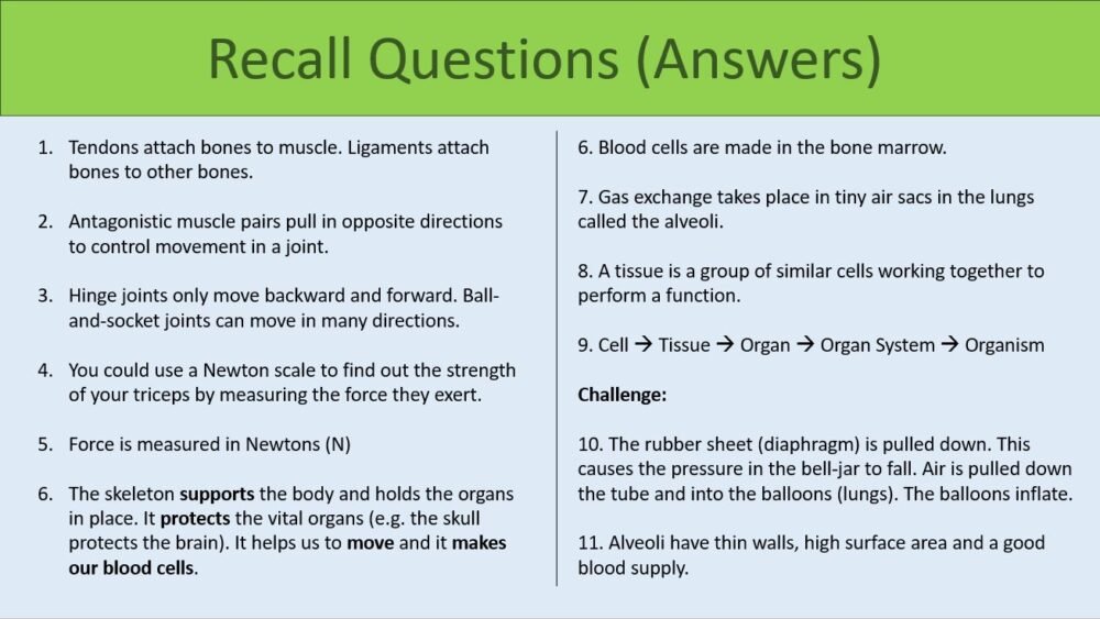 Recall Activity Answers