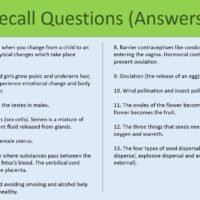Recall Questions