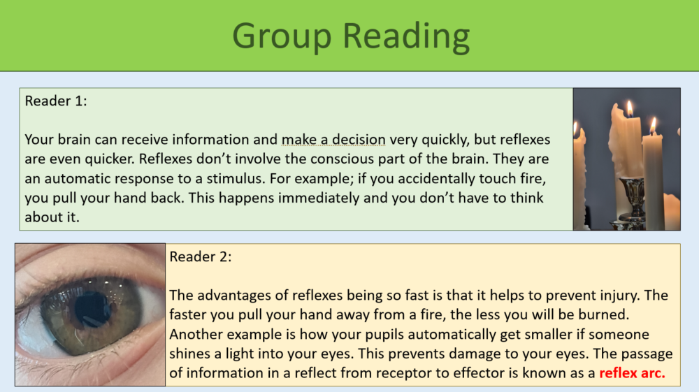 GCSE Biology Topic 5: Reflexes Group Reading Task