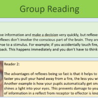 GCSE Biology Topic 5: Reflexes Group Reading Task
