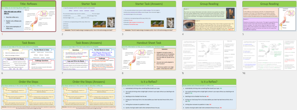 GCSE Biology Topic 5: Reflexes Lesson Slide Thumbnails