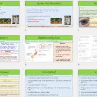 GCSE Biology Topic 5: Reflexes Lesson Slide Thumbnails