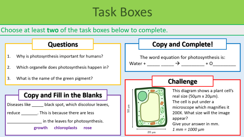 GCSE Biology Topics 1-4: Revision Rose Black Spot Case Study Task Boxes
