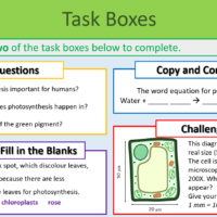 GCSE Biology Topics 1-4: Revision Rose Black Spot Case Study Task Boxes