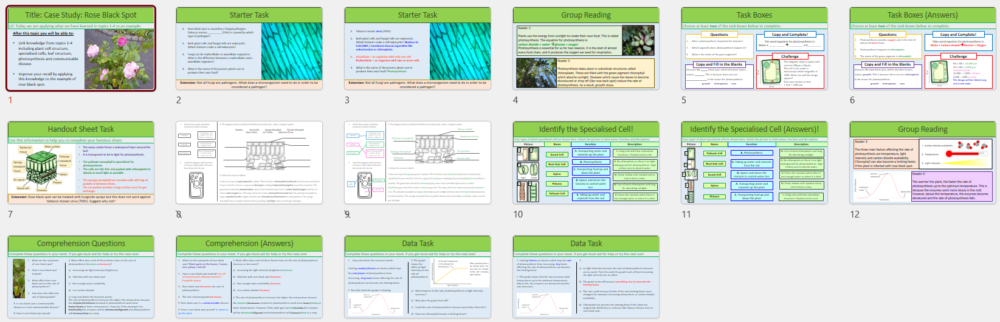 GCSE Biology Topics 1-4: Revision Rose Black Spot Case Study lesson slide thumbnails