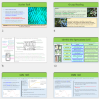 GCSE Biology Topics 1-4: Revision Rose Black Spot Case Study lesson slide thumbnails