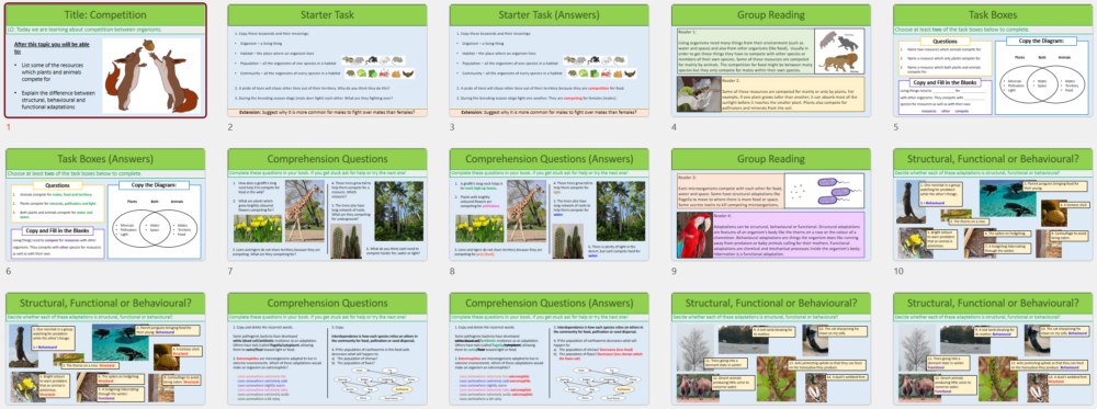 Thumbnail images of lesson slides